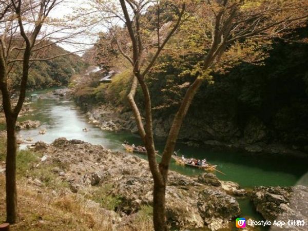 喜歡郊遊式賞櫻？宇治/嵐山/奈良岩哂你！