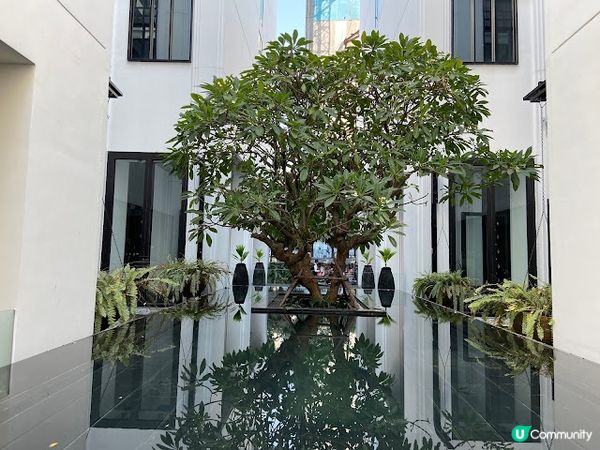 【住宿】曼谷素坤逸15號瑞享酒店Mövenpick Hotel Sukhumvit 15 Bangkok