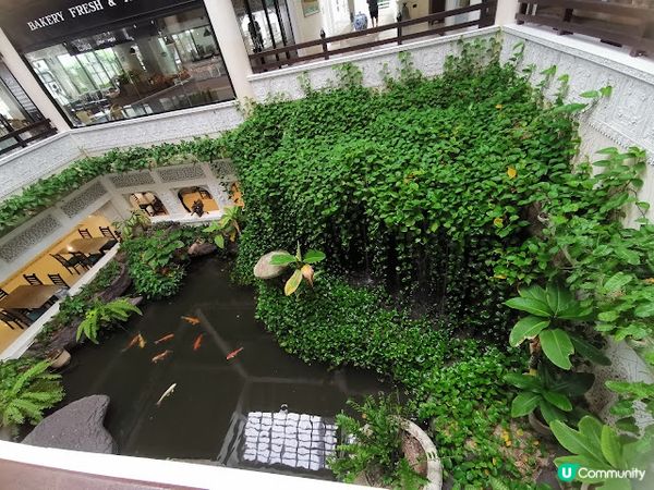 2023 布吉之旅 @Day 1 (0715) - Thavorn Palm Beach Resort 塔夫棕櫚海灘度假村.Rawai 拉威海鮮街