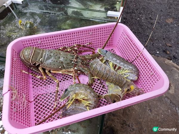 2023 布吉之旅 @Day 1 (0715) - Thavorn Palm Beach Resort 塔夫棕櫚海灘度假村.Rawai 拉威海鮮街