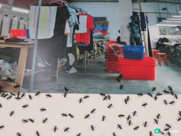 漫遊香港 - 中區警署建築群 大館