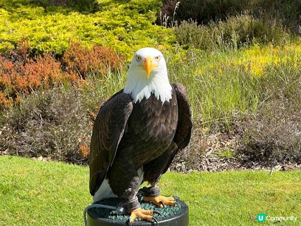 英國皇室古堡Balmoral Castle