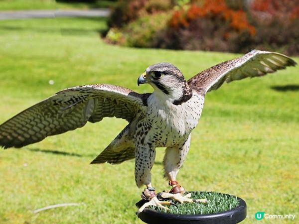 英國皇室古堡Balmoral Castle