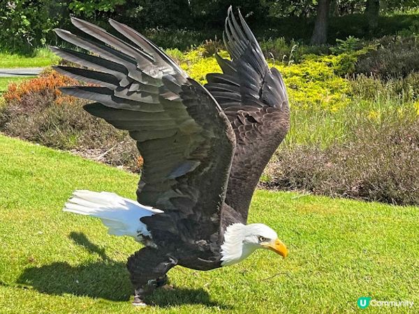 英國皇室古堡Balmoral Castle