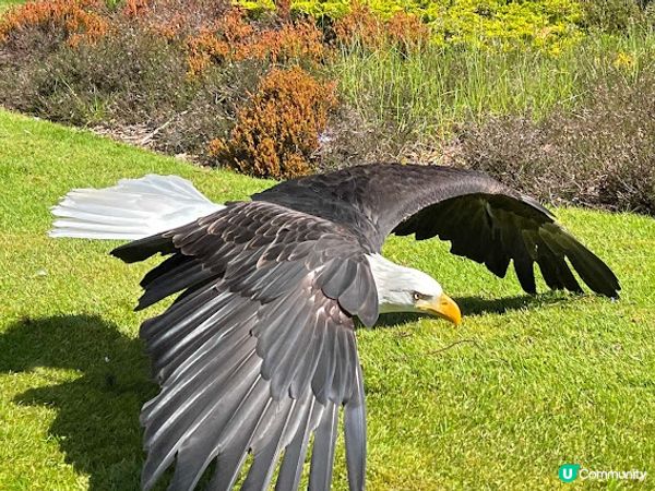 英國皇室古堡Balmoral Castle