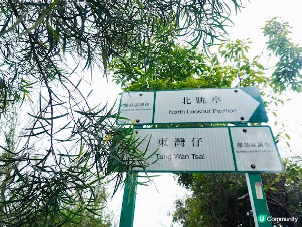 【本地遊】長洲一日遊｜舊式茶餐廳、長洲家樂徑觀景台和打卡茶飲店