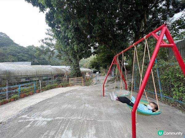 【好玩!】超放電任足玩一日 | 滑草、手搖船、飛索、高卡車、滑水梯、餵羊