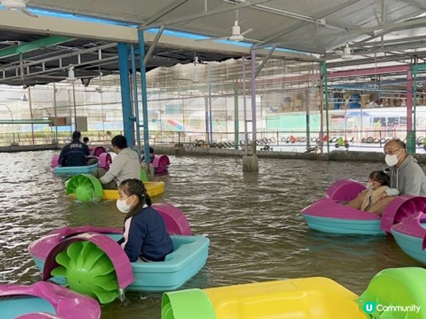 【好玩!】超放電任足玩一日 | 滑草、手搖船、飛索、高卡車、滑水梯、餵羊