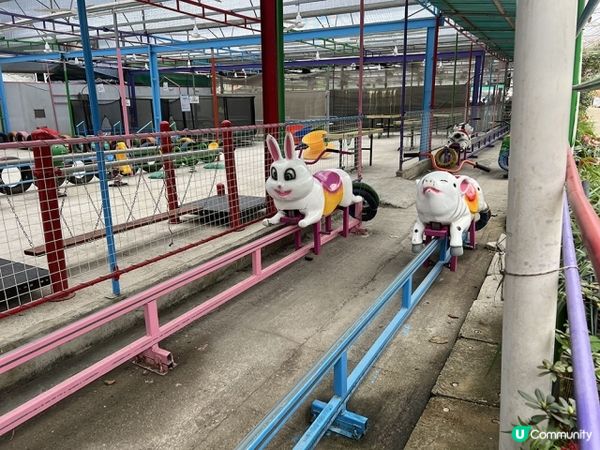 【好玩!】超放電任足玩一日 | 滑草、手搖船、飛索、高卡車、滑水梯、餵羊