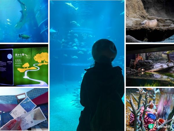 【大阪】觀光．全方位環繞主水槽的水族館｜ 海遊館 Osaka Aquarium KAIYUKAN