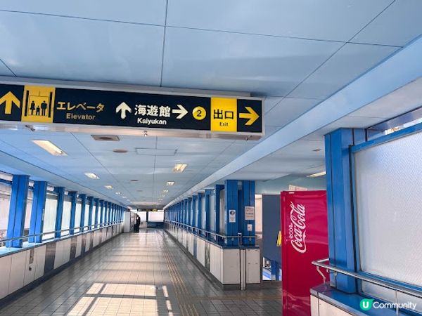 【大阪】觀光．全方位環繞主水槽的水族館｜ 海遊館 Osaka Aquarium KAIYUKAN