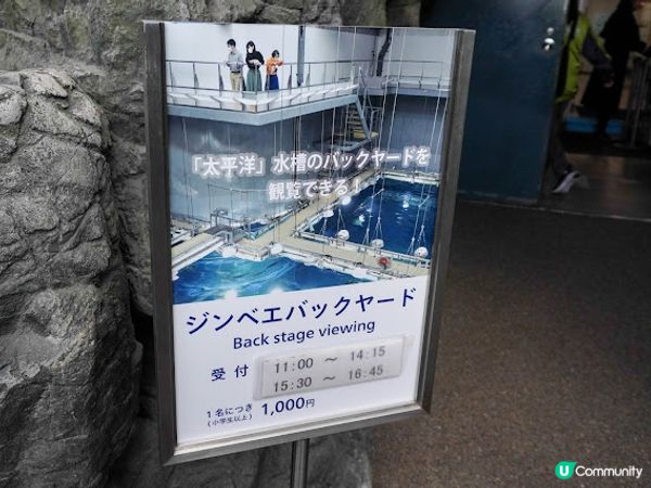 【大阪】觀光．全方位環繞主水槽的水族館｜ 海遊館 Osaka Aquarium KAIYUKAN