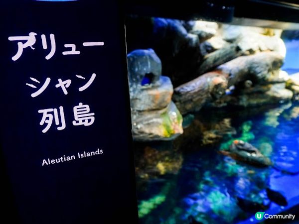 【大阪】觀光．全方位環繞主水槽的水族館｜ 海遊館 Osaka Aquarium KAIYUKAN