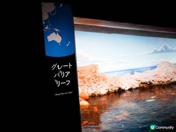 【大阪】觀光．全方位環繞主水槽的水族館｜ 海遊館 Osaka Aquarium KAIYUKAN