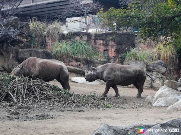 【大阪】觀光．建在市中心的古老動物園三大之一｜天王寺動物園 Tennoji Zoo