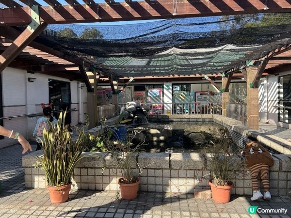 【放電好去處】射箭、攀石、戶外活動、放電一流 + BBQ | 保良局賽馬會大棠渡假村