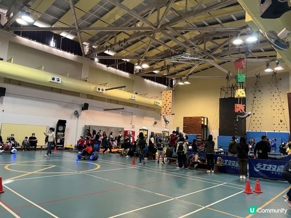 【放電好去處】射箭、攀石、戶外活動、放電一流 + BBQ | 保良局賽馬會大棠渡假村