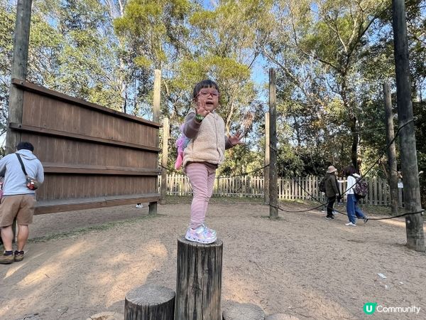 【放電好去處】射箭、攀石、戶外活動、放電一流 + BBQ | 保良局賽馬會大棠渡假村