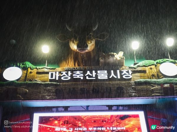 【旅遊韓國】超靚韓牛自挑自燒 - 馬場洞韓牛村