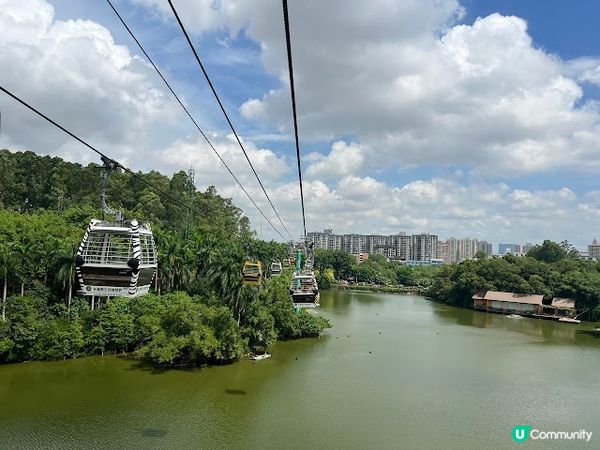 【親子好去處】暑假必玩! 長隆野生動物世界遊玩攻略