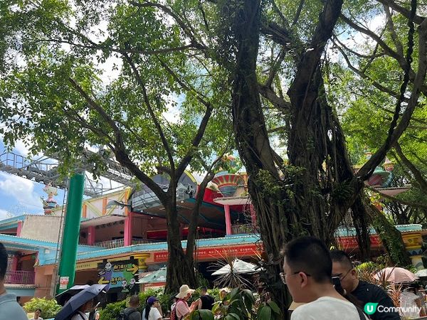 【親子好去處】暑假必玩! 長隆野生動物世界遊玩攻略