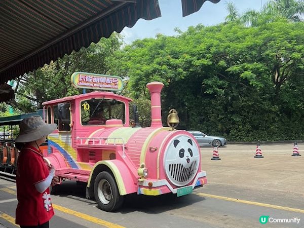 【親子好去處】暑假必玩! 長隆野生動物世界遊玩攻略