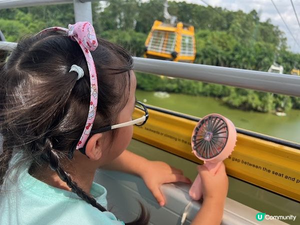 【親子好去處】暑假必玩! 長隆野生動物世界遊玩攻略