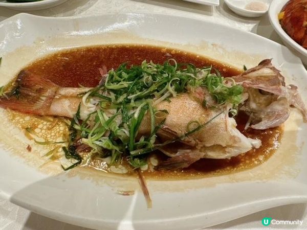 你滿意就好了@鴻星中菜 (新世紀廣場)