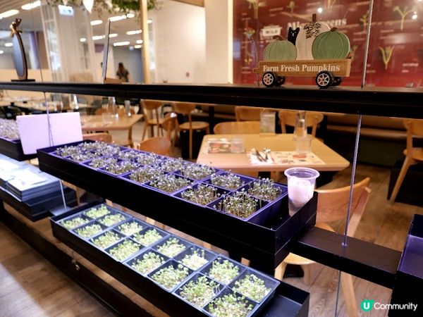 農舍田園主題半自助午餐☘ 野玩田店