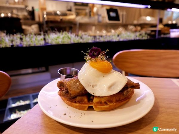 農舍田園主題半自助午餐☘ 野玩田店