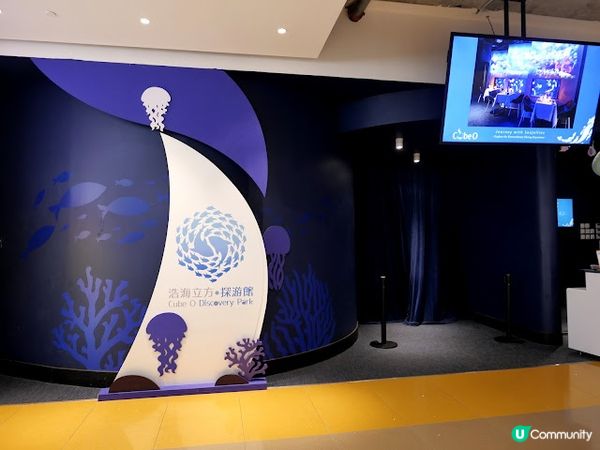 浪漫夜遊水母館♒ 荃灣浩海立方•探游館餐廳Cube O