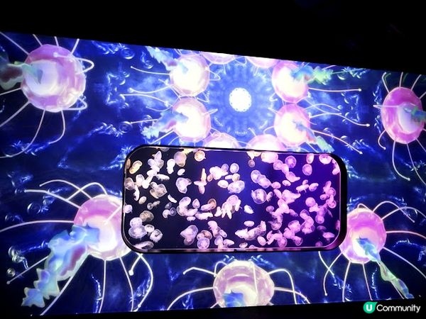 浪漫夜遊水母館♒ 荃灣浩海立方•探游館餐廳Cube O