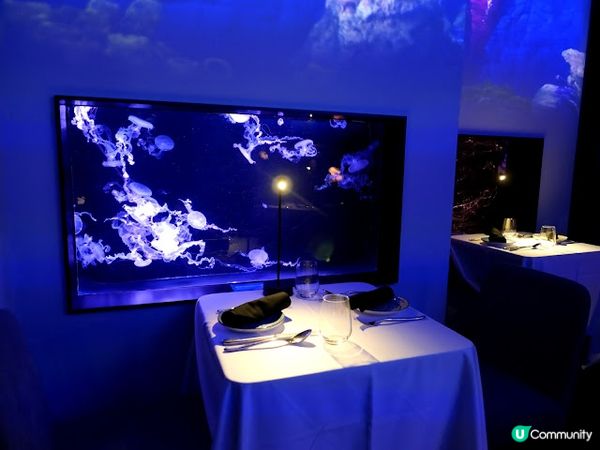 浪漫夜遊水母館♒ 荃灣浩海立方•探游館餐廳Cube O