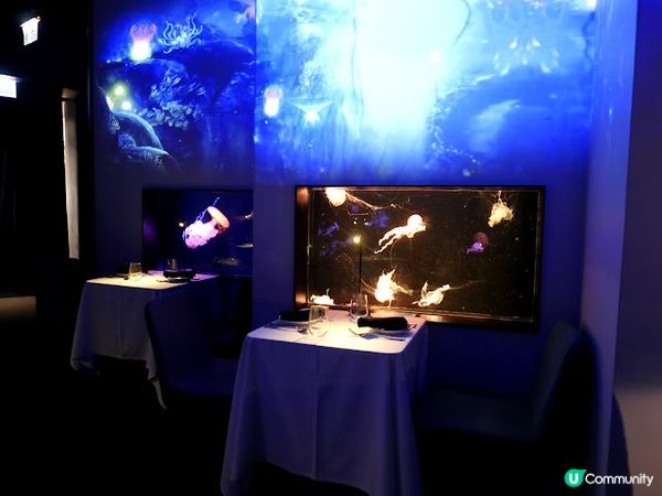 浪漫夜遊水母館♒ 荃灣浩海立方•探游館餐廳Cube O