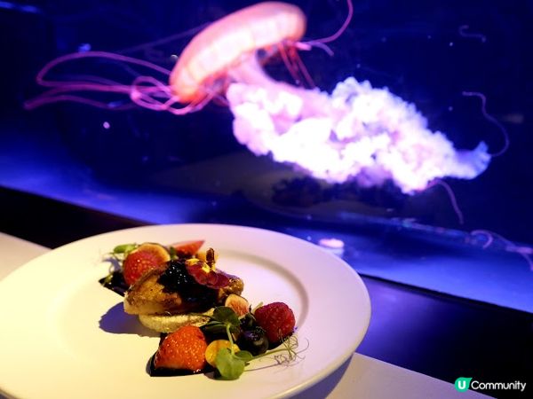 浪漫夜遊水母館♒ 荃灣浩海立方•探游館餐廳Cube O