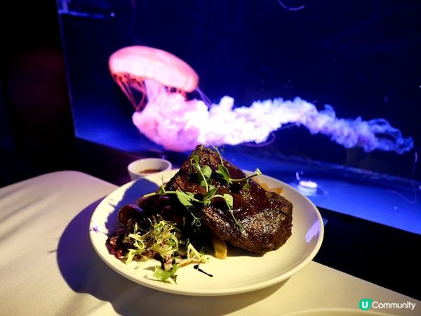 浪漫夜遊水母館♒ 荃灣浩海立方•探游館餐廳Cube O