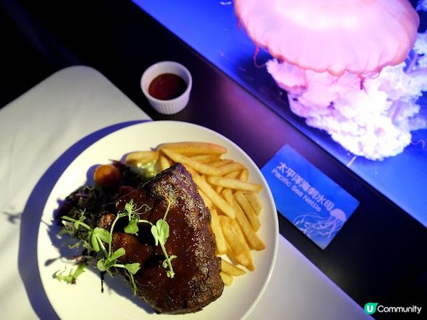 浪漫夜遊水母館♒ 荃灣浩海立方•探游館餐廳Cube O