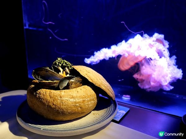 浪漫夜遊水母館♒ 荃灣浩海立方•探游館餐廳Cube O