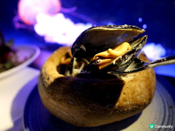 浪漫夜遊水母館♒ 荃灣浩海立方•探游館餐廳Cube O