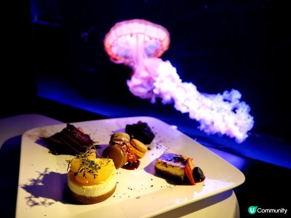 浪漫夜遊水母館♒ 荃灣浩海立方•探游館餐廳Cube O