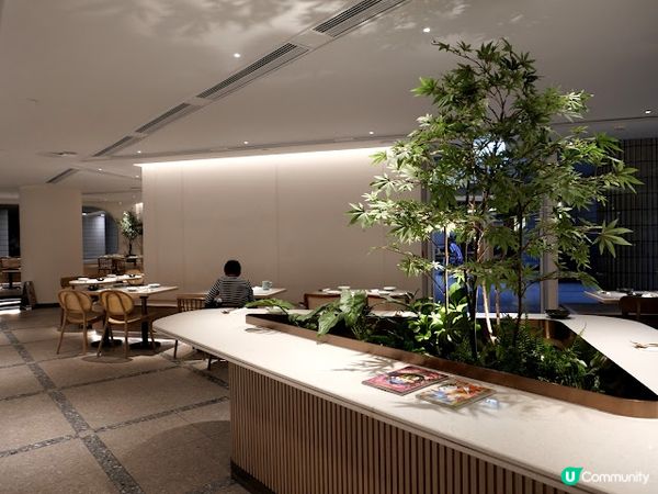 文化沙漠中的罕見文青cafe☘ 牧羊少年與他的浮萍