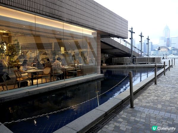 文化沙漠中的罕見文青cafe☘ 牧羊少年與他的浮萍