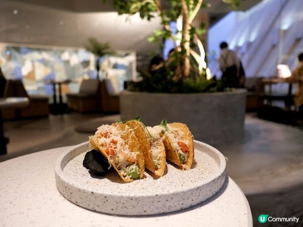 文化沙漠中的罕見文青cafe☘ 牧羊少年與他的浮萍