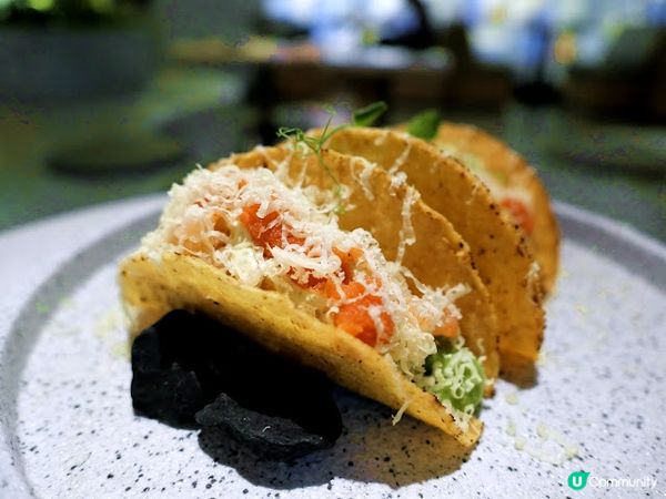 文化沙漠中的罕見文青cafe☘ 牧羊少年與他的浮萍