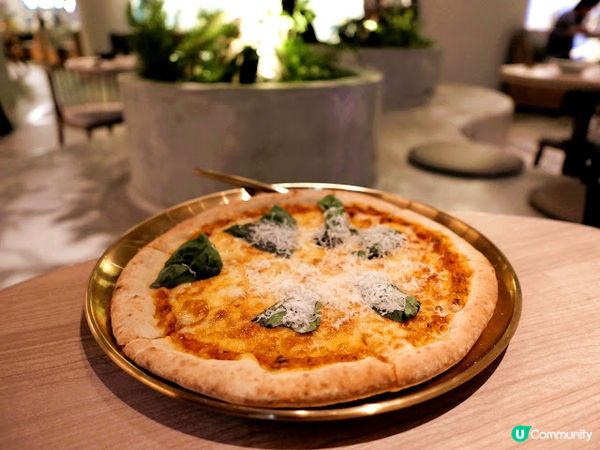 文化沙漠中的罕見文青cafe☘ 牧羊少年與他的浮萍