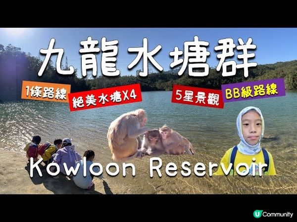 【九龍行山】1️⃣條山徑欣賞4️⃣個絕美😍水塘｜1.5小時輕鬆郊遊｜金山郊野公園🐒｜九龍水塘群｜BB級路線｜Kowloon Reservoir | Hiking Vlog | Eng Sub