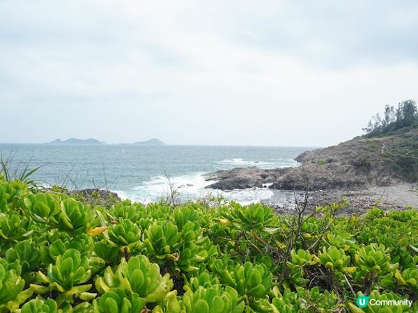 【本地遊】東龍島．景色十分優美的四面環海島嶼、炮台古蹟、白色燈塔