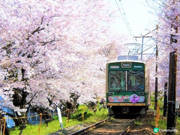 佐野藤右衛門（始於江戶時代仁和寺的園藝師稱號）