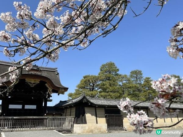 京都御所的南面正門——建禮門