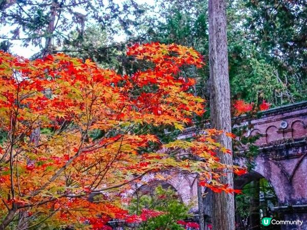 南禪寺·水樓閣的紅葉